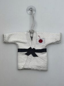 Mizuno mini-judopak | wit-rood